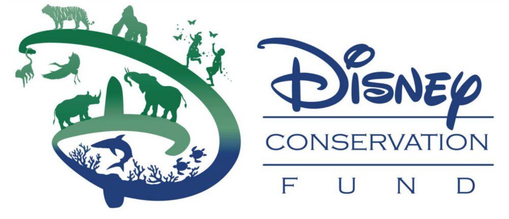 Foto de El Fondo para la Conservación de Disney Abrió la Convocatoria a Enviar Consultas para Aplicar al Programa de Becas: “Inspirar La Acción”