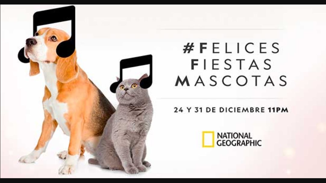 Foto de National Geographic confirma que nuevamente emitirá su especial “Felices Fiestas Mascotas”