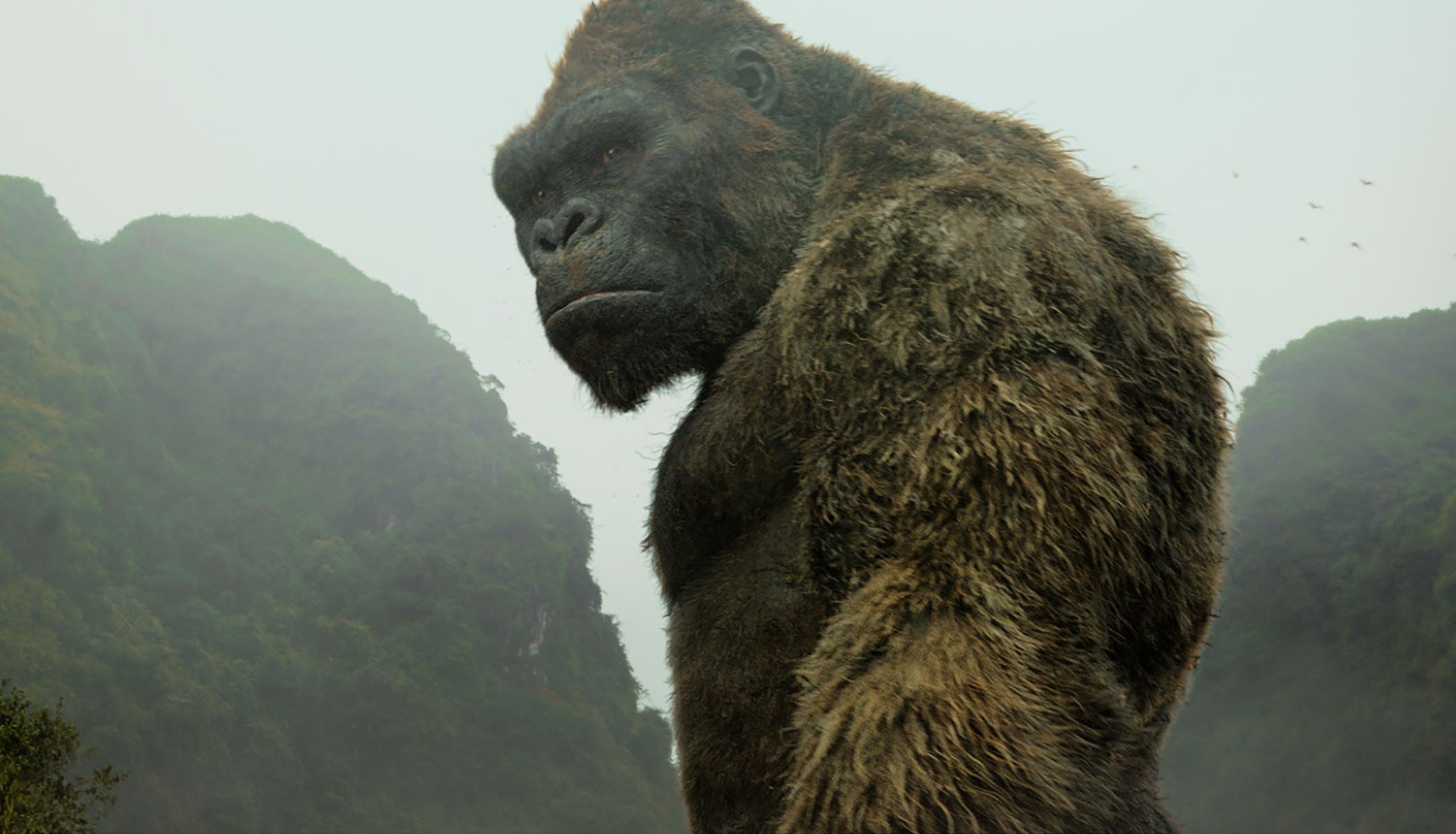 Foto de Netflix confirma un anime, basado en Kong Skull Island
