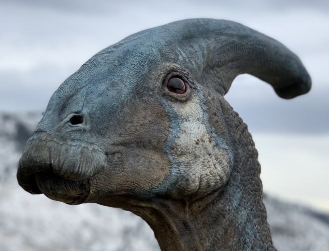 Fotos de Conoce al Atrociraptor el nuevo dinosaurio, de película Jurassic World: Dominio