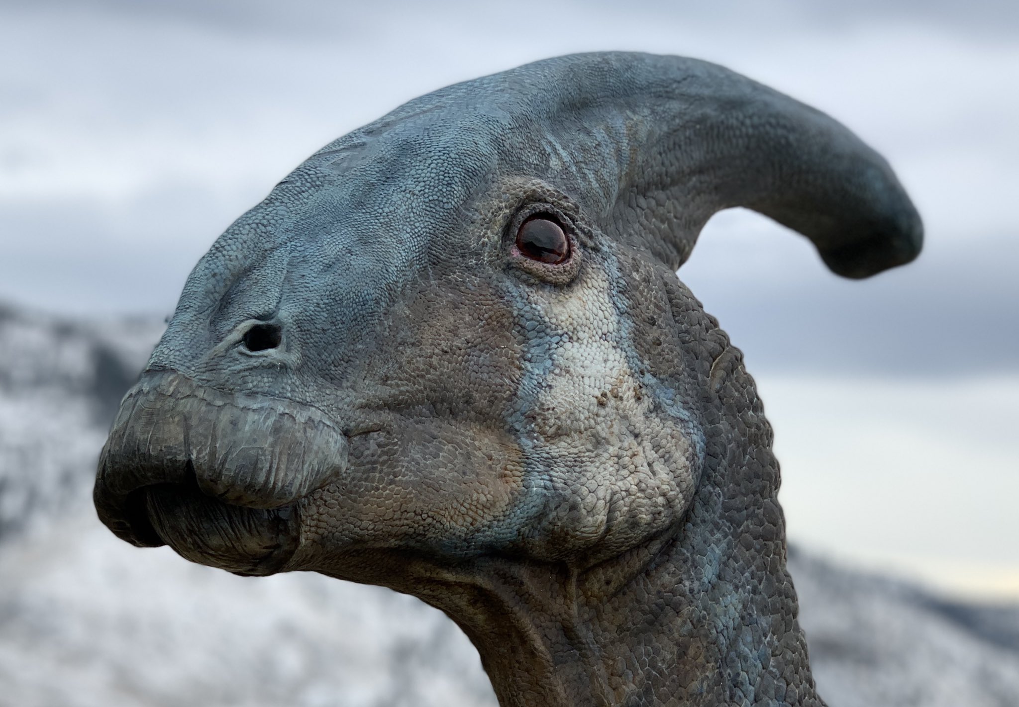 Foto de Conoce al Atrociraptor el nuevo dinosaurio, de película Jurassic World: Dominio