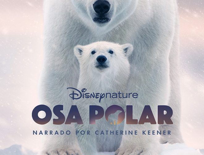 Fotos de Disney+: Tráiler de Osa Polar, nuevo documental por del Día de la Tierra 2022