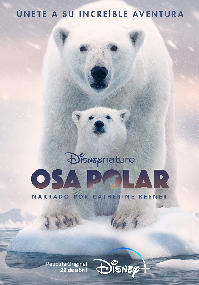 Foto de Disney+: Tráiler de Osa Polar, nuevo documental por del Día de la Tierra 2022