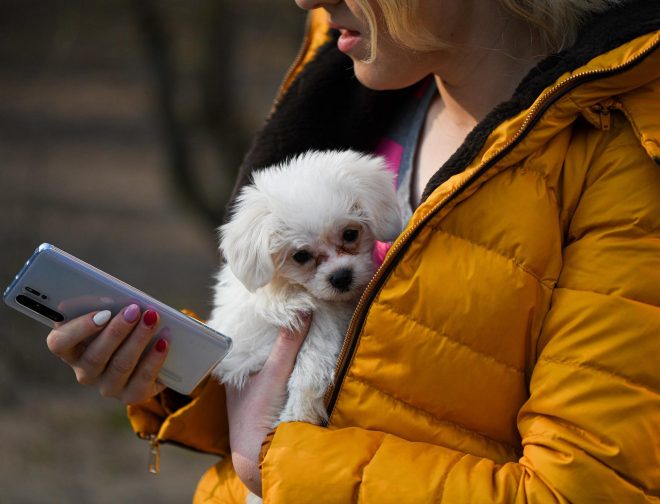 Fotos de Tips y apps para cuidar de tu mascota desde tu celular