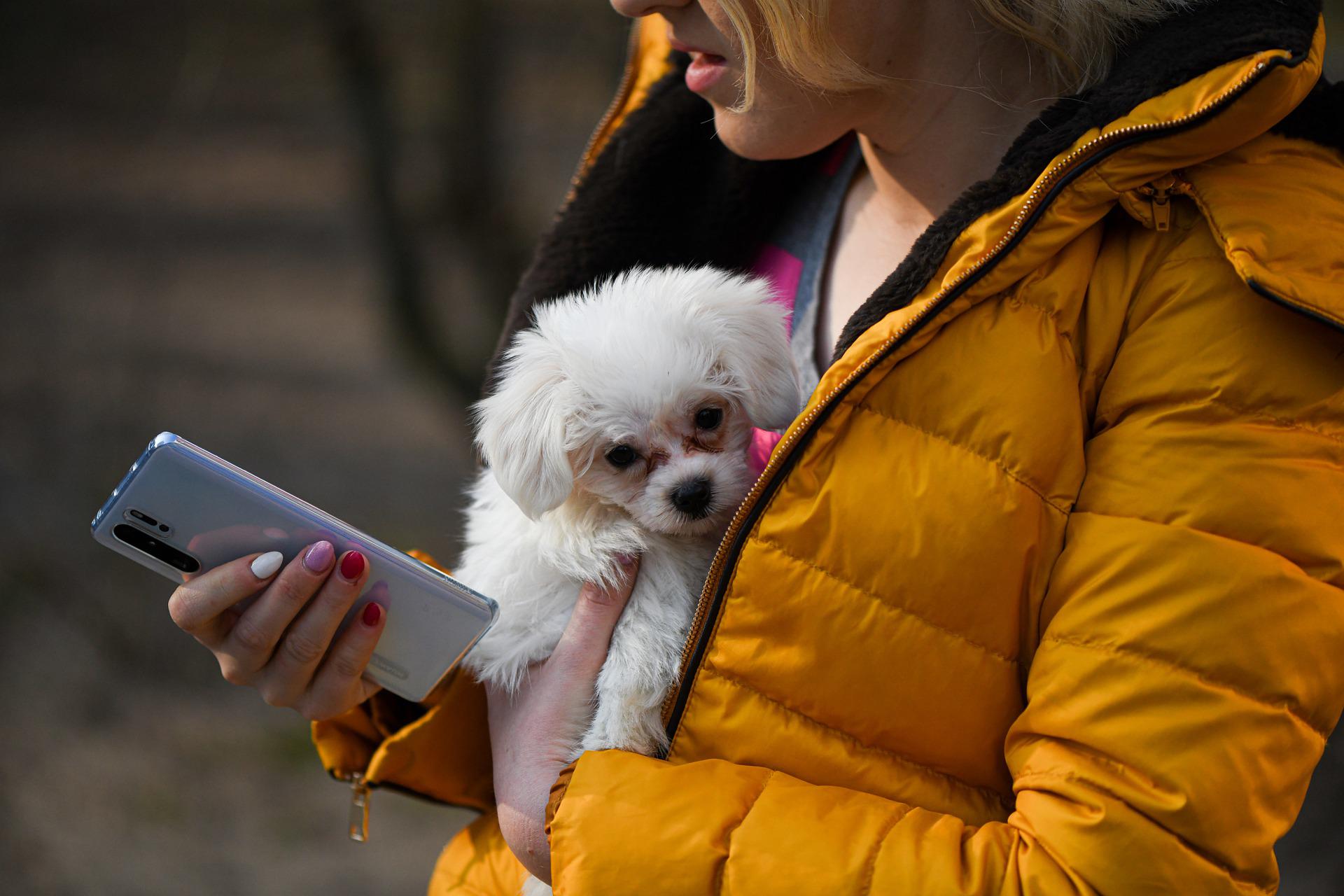Foto de Tips y apps para cuidar de tu mascota desde tu celular