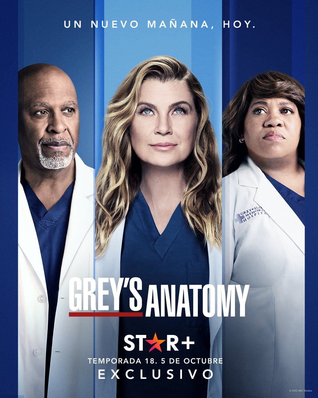 Foto de La temporada 18 de Grey’s Anatomy llega en exclusiova a Star Plus