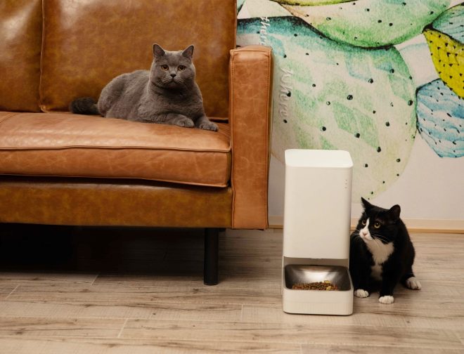 Fotos de Día del Gato: conoce los nuevos productos inteligentes de Xiaomi para mascotas