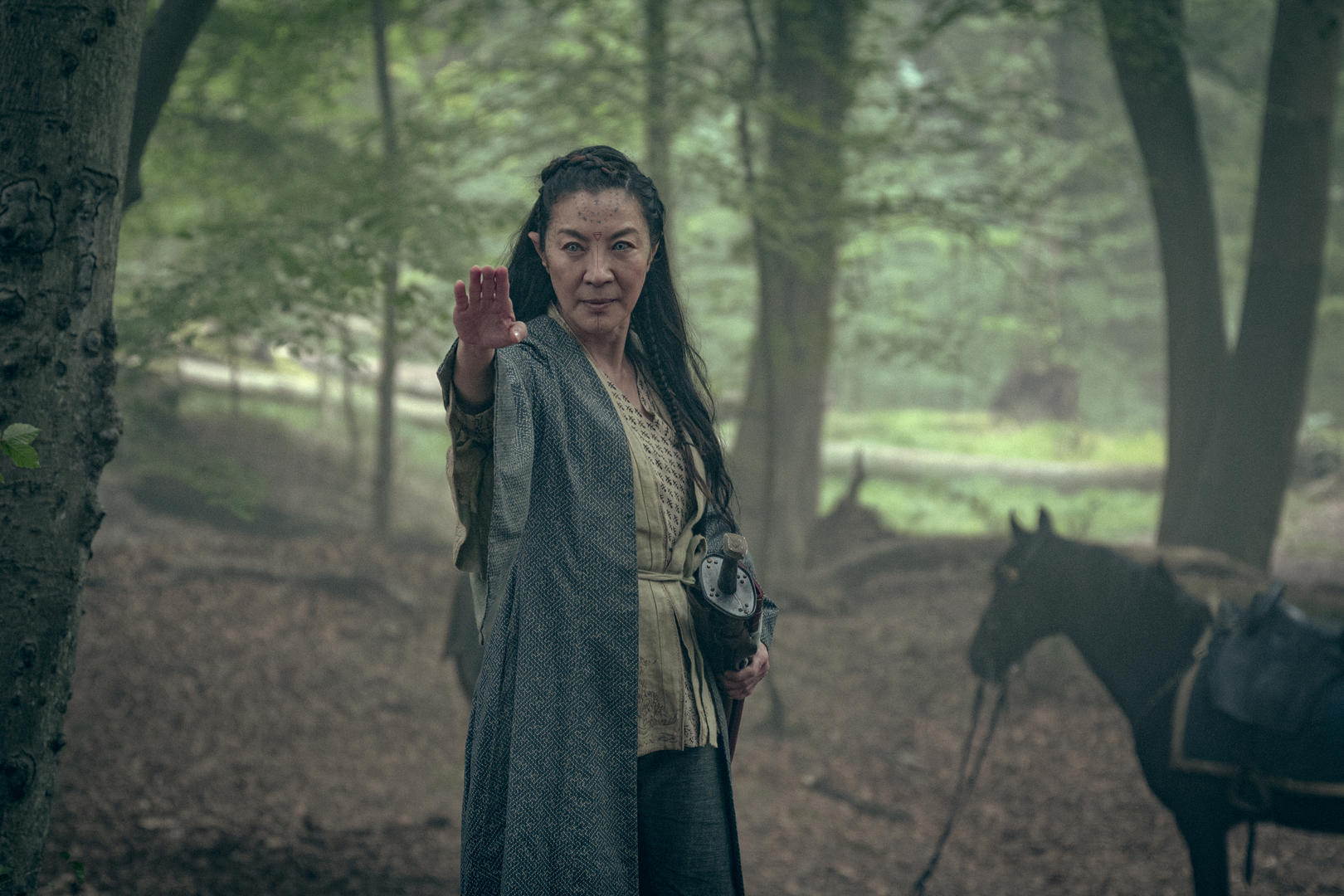 Foto de The Witcher: Nuevo tráiler e imágenes de la precuela, Blood Origin con Michelle Yeoh