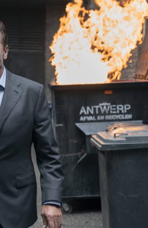 Foto de Fubar de Arnold Schwarzenegger es lo más visto en Netflix y el actor mismo te agradece por verla