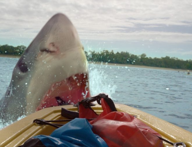 Fotos de Tráiler y fecha de estreno de Marea Sangrienta, película de terror con un tiburón gigante
