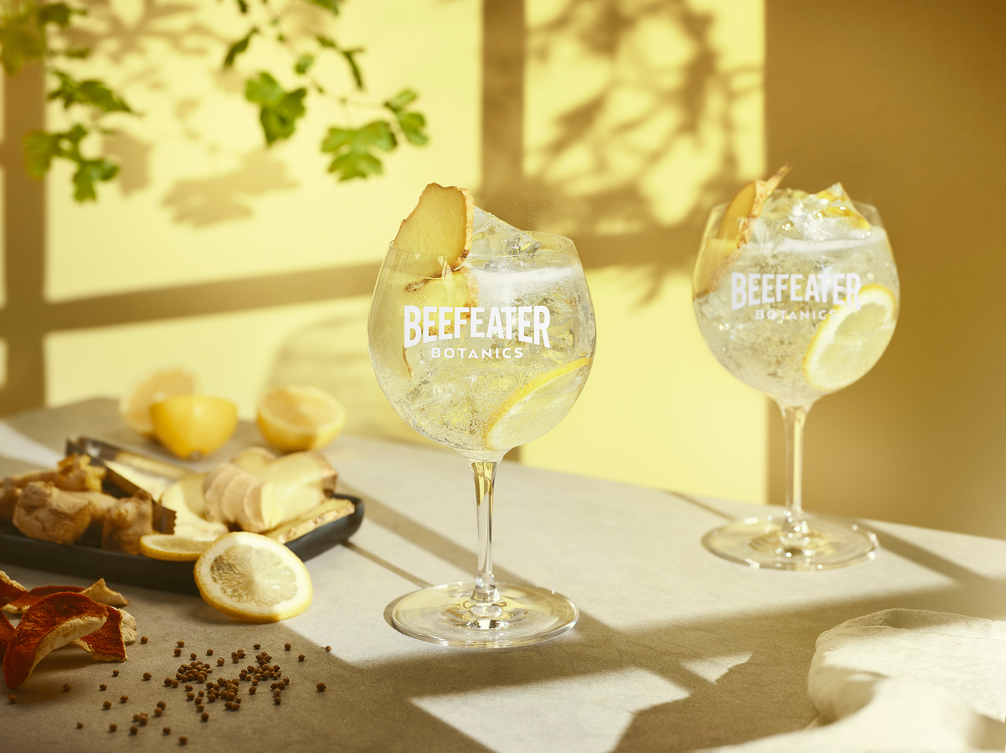 Foto de Pernod Ricard anuncia el lanzamiento de Beefeater Botanics en Perú