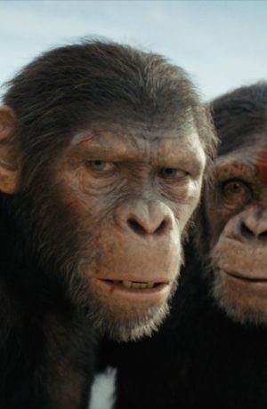 Foto de Fecha de estreno en Perú e increíble nuevo tráiler de Kingdom of the Planet of the Apes