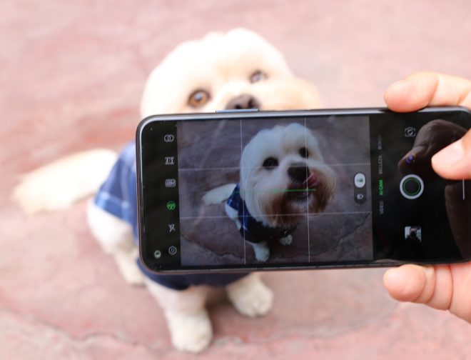 Fotos de Consigue las mejores fotos de tu mascota con estos consejos de Infinix