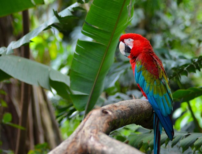 Fotos de La iniciativa Net Zero y su importancia para la biodiversidad en el cierre de la COP16