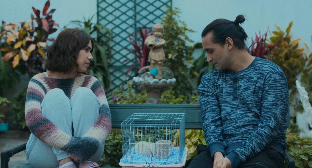 Foto de La película Amor Erizo se estrena este 23 de enero en todos los cines