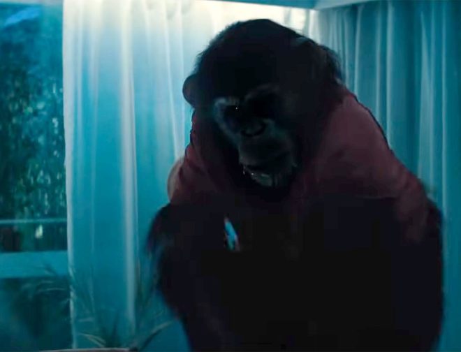 Fotos de Terrorífico y violento tráiler de Primate, esperada película de terror para el 2026