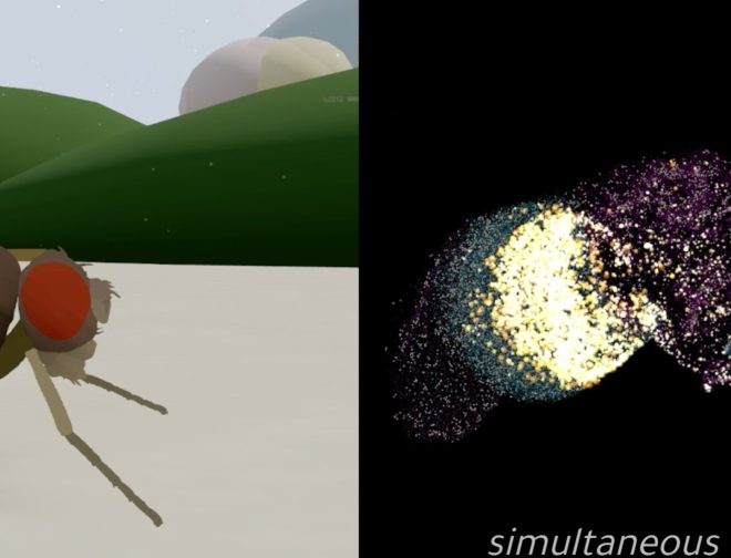 Fotos de Logran digitalizar el cerebro de una mosca: el experimento que podría cambiar el futuro de la inteligencia artificial