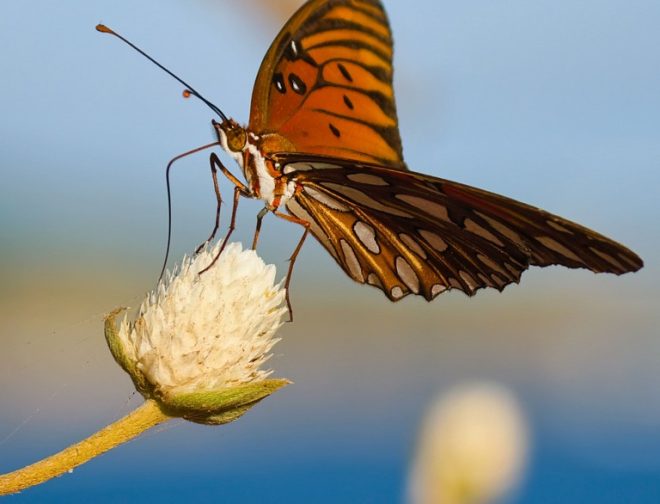 Fotos de Fotógrafos de talla mundial capturan experiencias de viaje con el nuevo vivo X300 Pro