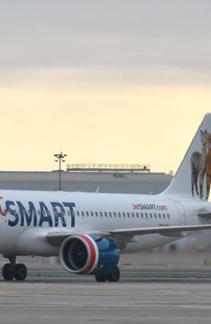 Foto de JetSMART innova lanzando “All You Can Fly”, nueva membresía anual para volar con flexibilidad por Sudamérica