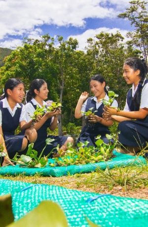 Foto de Samsung Perú anuncia la convocatoria para Solve for Tomorrow 2026 impulsando la innovación en las escuelas del país