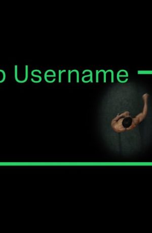 Foto de WhatsApp confirma que pronto estarán llegando los nombres de usuarios a la plataforma