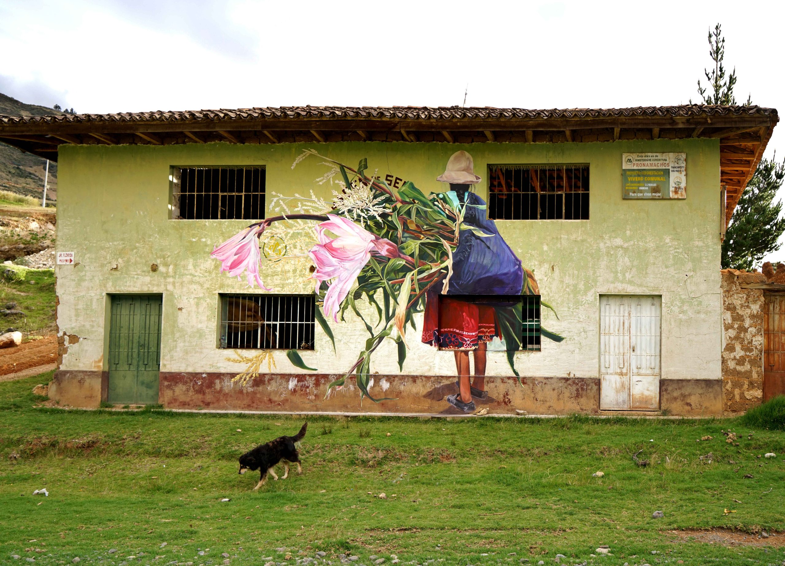 Foto de Descentralizando el arte: Proyectos colectivos que transforman vidas en las regiones del Perú