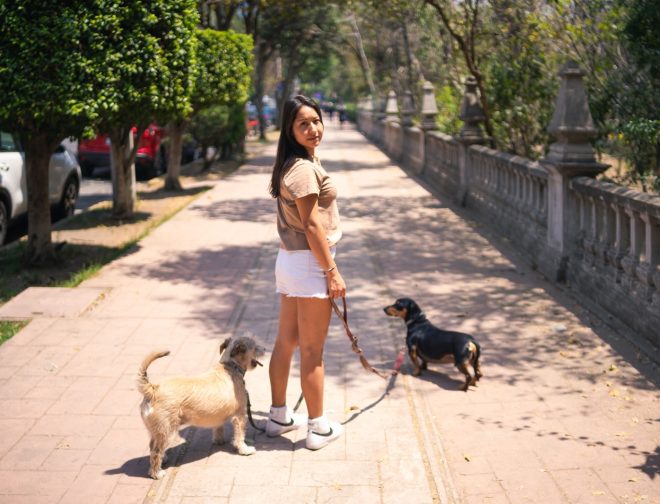 Foto de La conversación digital abre una oportunidad a las marcas de mascotas en el mercado peruano