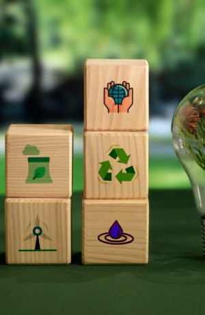 Foto de BCG y ALIVE lanzan la cuarta edición del Premio Consultoría de Impacto para escalar emprendimientos sociales en Perú
