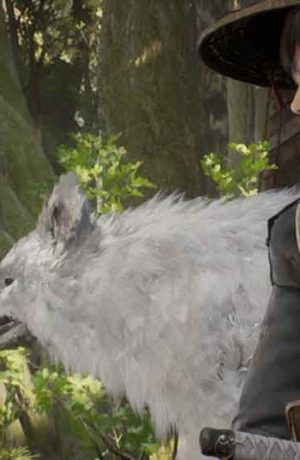 Foto de Review: Beast of Reincarnation: Aprendiendo a moverse en un género diferente