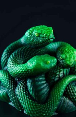 Foto de Razer presenta una keycap artesanal con el símbolo de la marca para coleccionistas