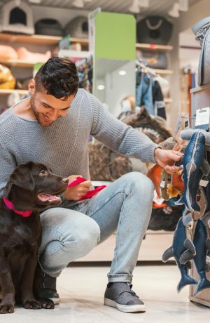 Foto de El boom de los productos para mascotas: ¿Qué están comprando los hogares peruanos?