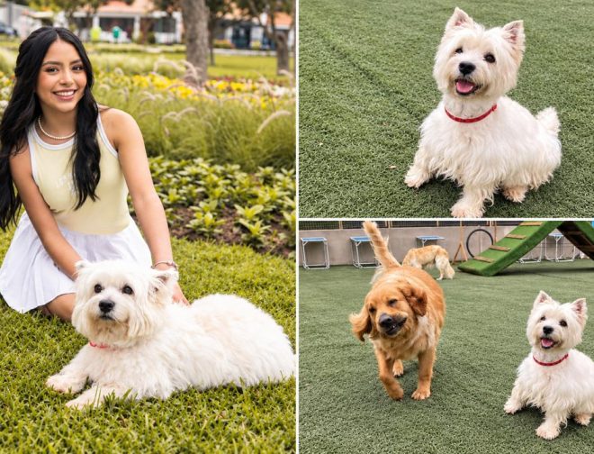 Fotos de Las Huellas de Barney promoverá el voluntariado juvenil en apoyo a perros en situación de abandono