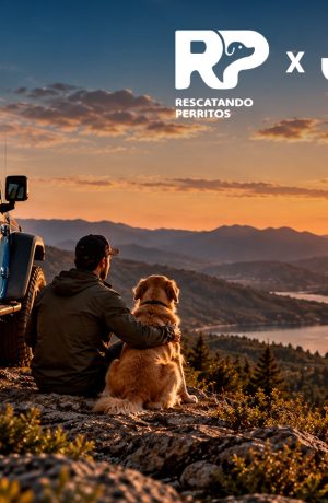 Foto de Jeep fortalece Jeeperros con una alianza junto a Rescatando Perritos para impulsar la adopción responsable