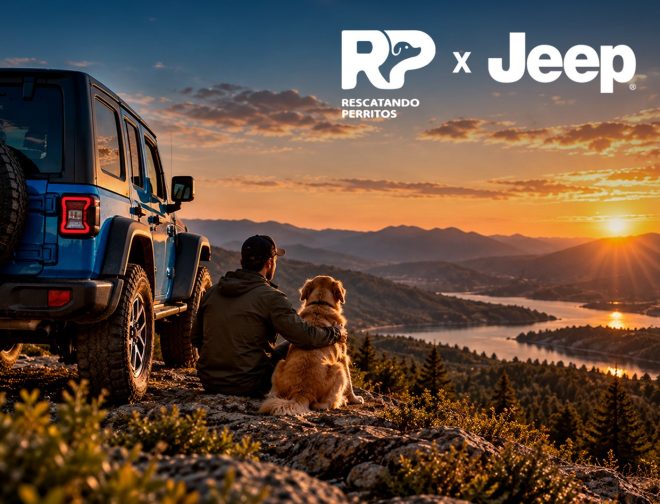 Fotos de Jeep fortalece Jeeperros con una alianza junto a Rescatando Perritos para impulsar la adopción responsable