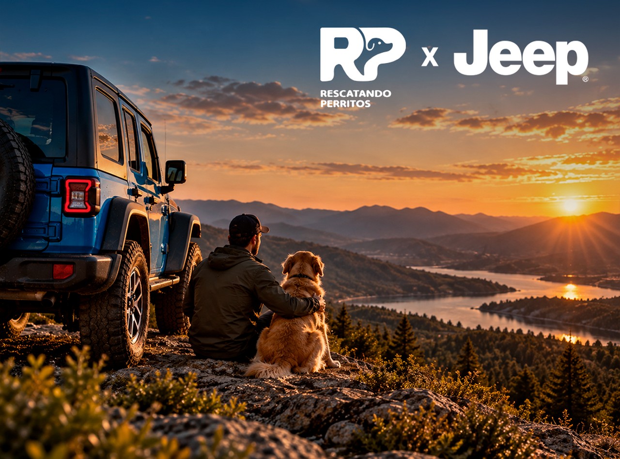 Foto de Jeep fortalece Jeeperros con una alianza junto a Rescatando Perritos para impulsar la adopción responsable
