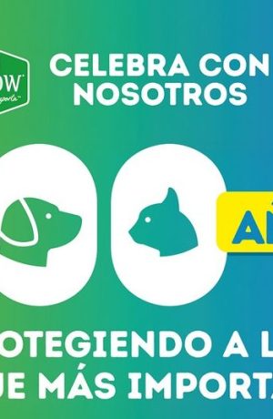 Foto de ¿Buscas un plan petfriendly? Purina celebra sus 100 años con actividades gratuitas para familias y mascotas
